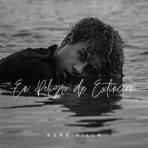 me voy pero me llevo todo lyrics|René Villa – En Peligro de Extinción Lyrics .